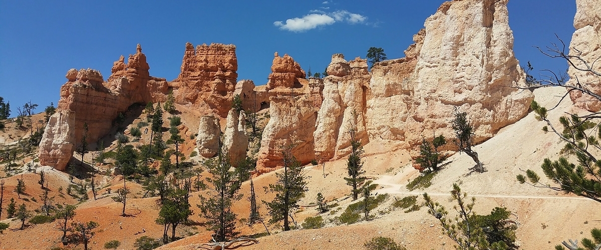 bryce canyon national park photo