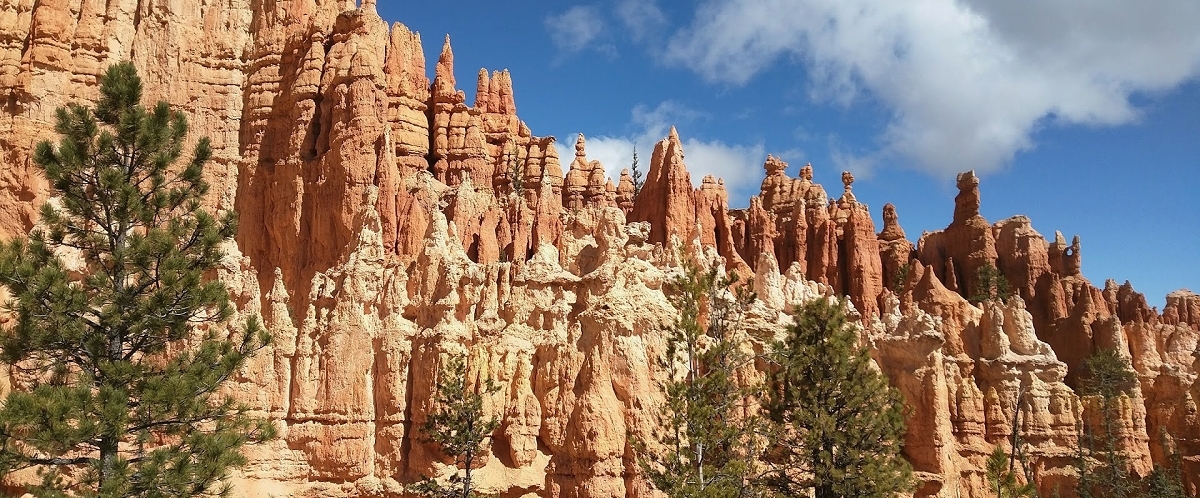 bryce canyon national park photo