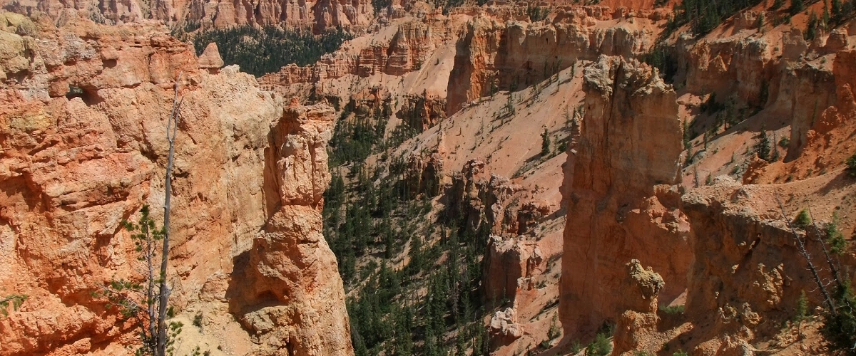 bryce canyon national park photo
