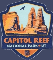 patch photo