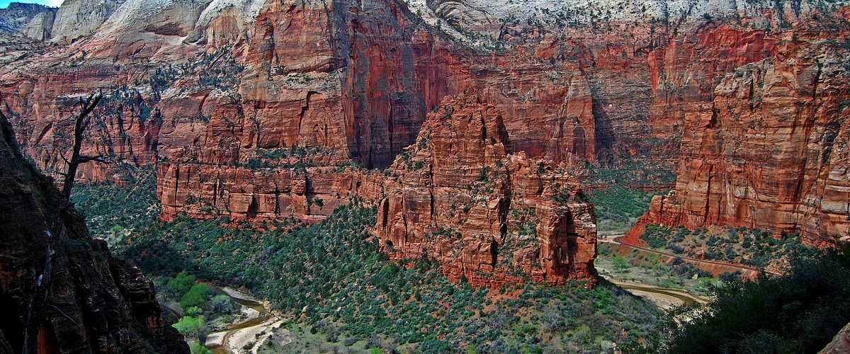 zion national park photo