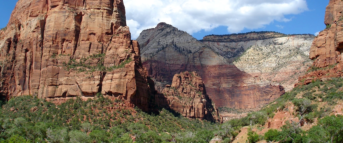 zion national park photo