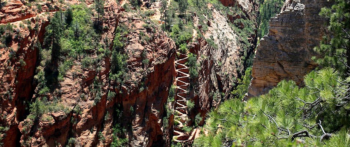zion national park photo