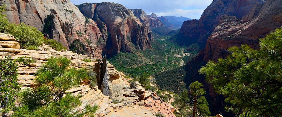 zion national park photo