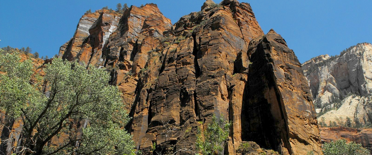 zion national park photo