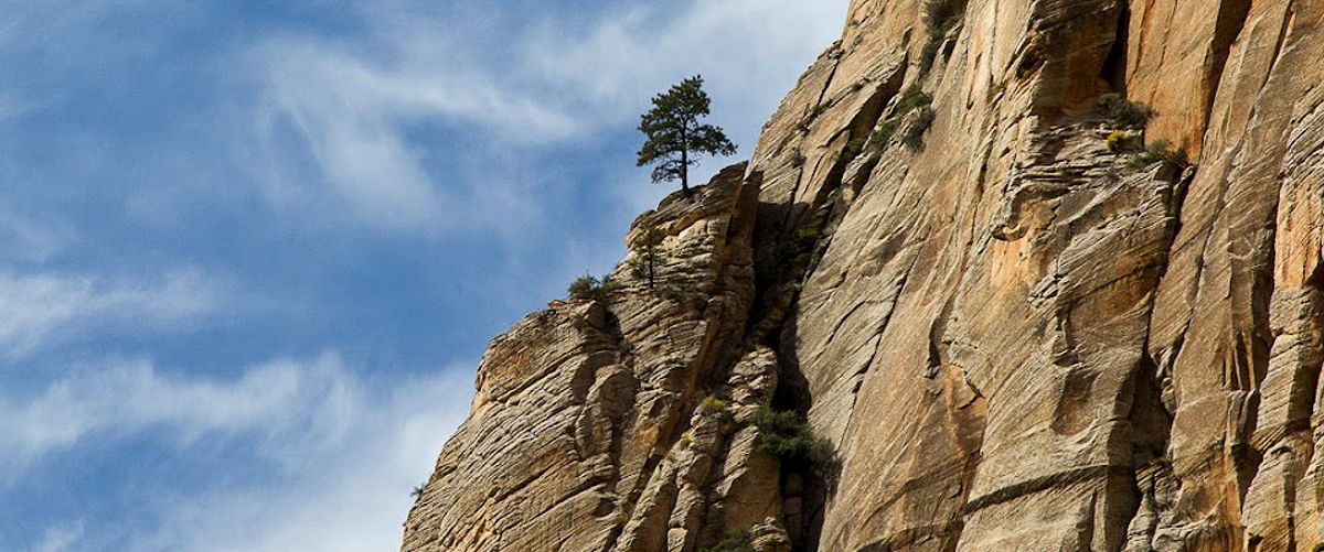 zion national park photo