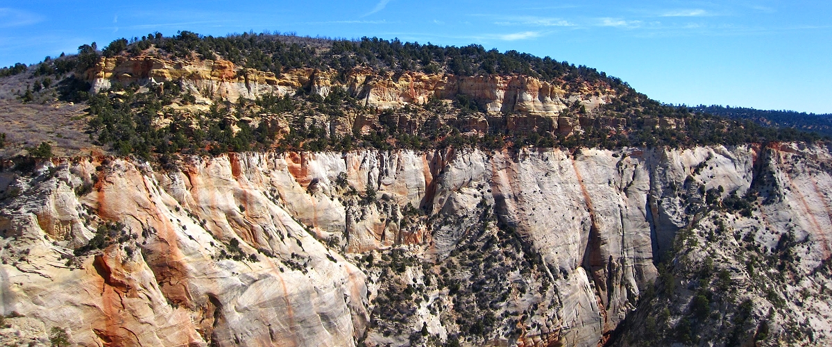 zion national park photo