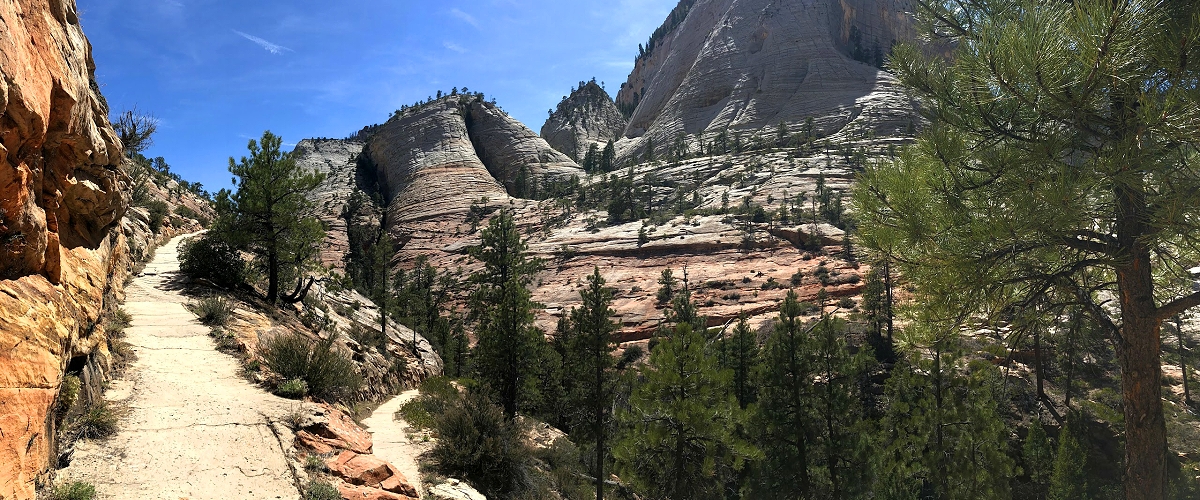 zion national park photo
