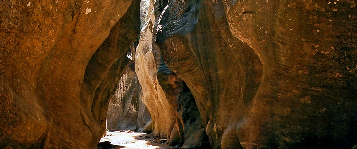zion national park photo