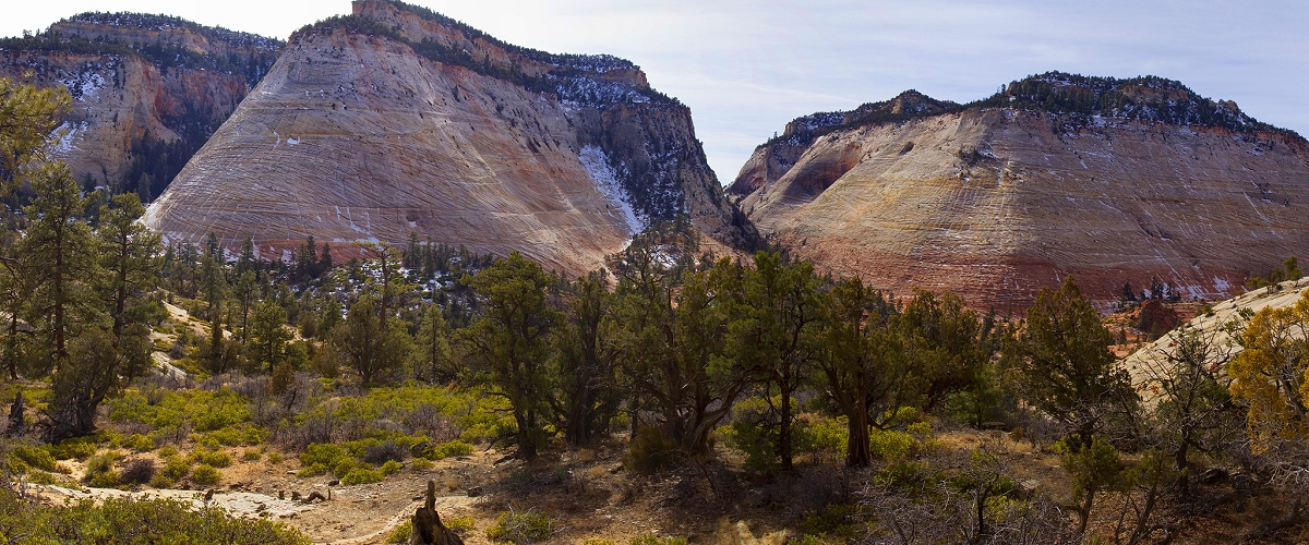 zion national park photo