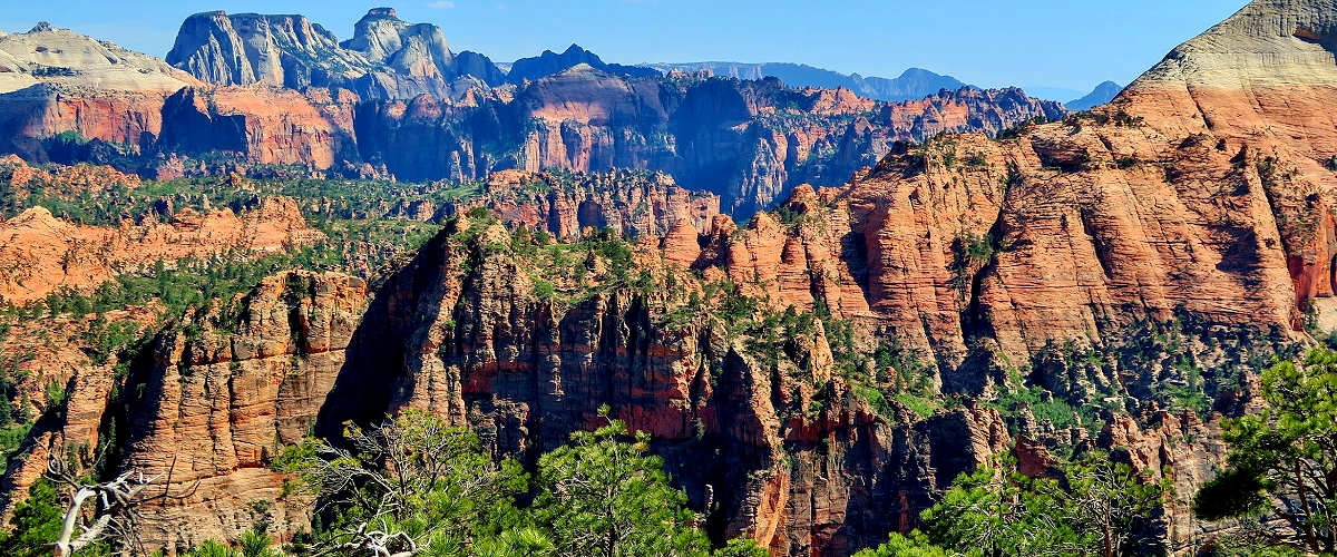 zion national park photo