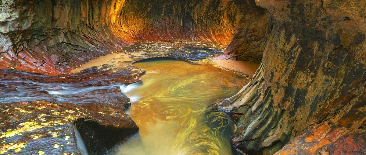 zion national park photo