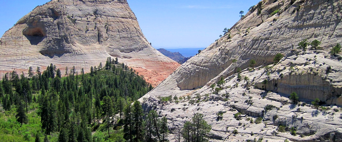 zion national park photo