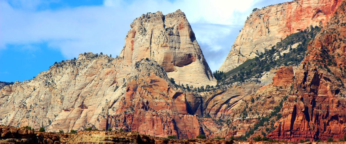zion national park photo