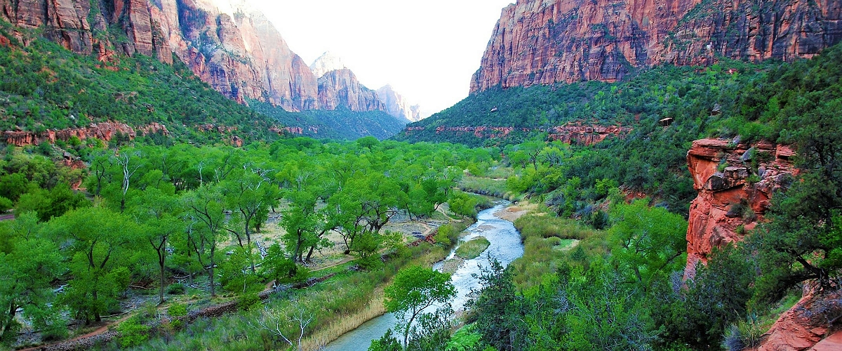 zion national park photo