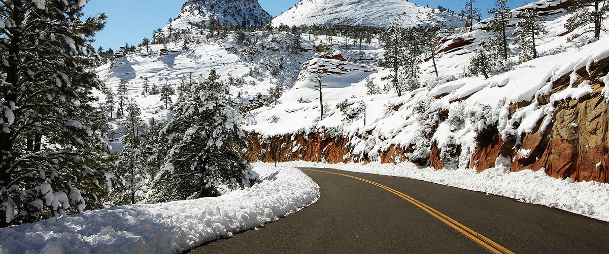 zion national park photo