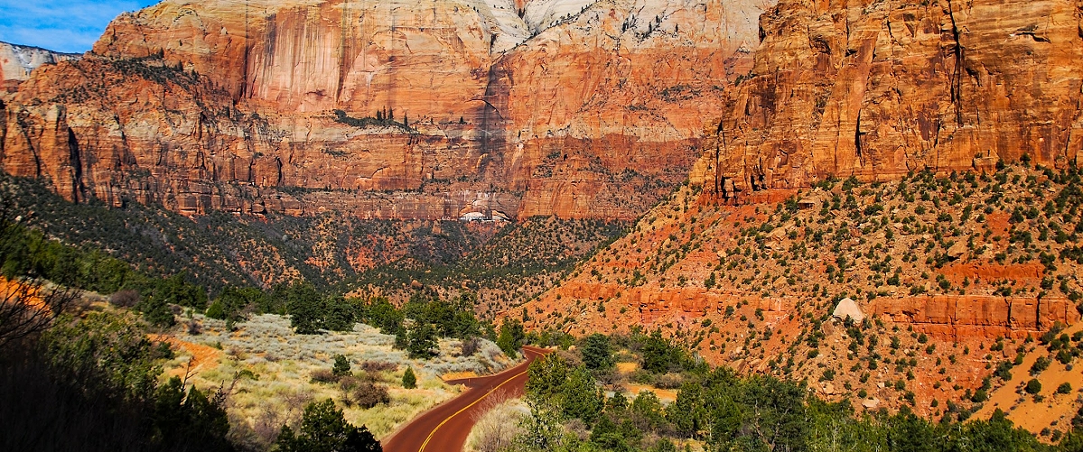 zion national park photo