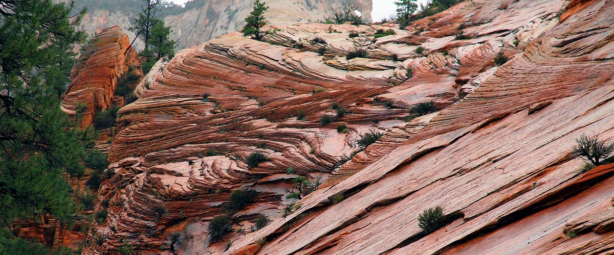 zion national park photo