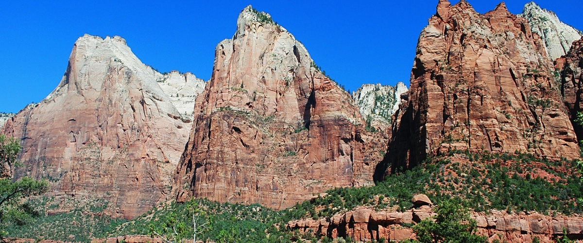 zion national park photo