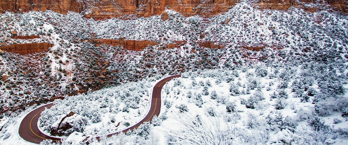 zion national park photo