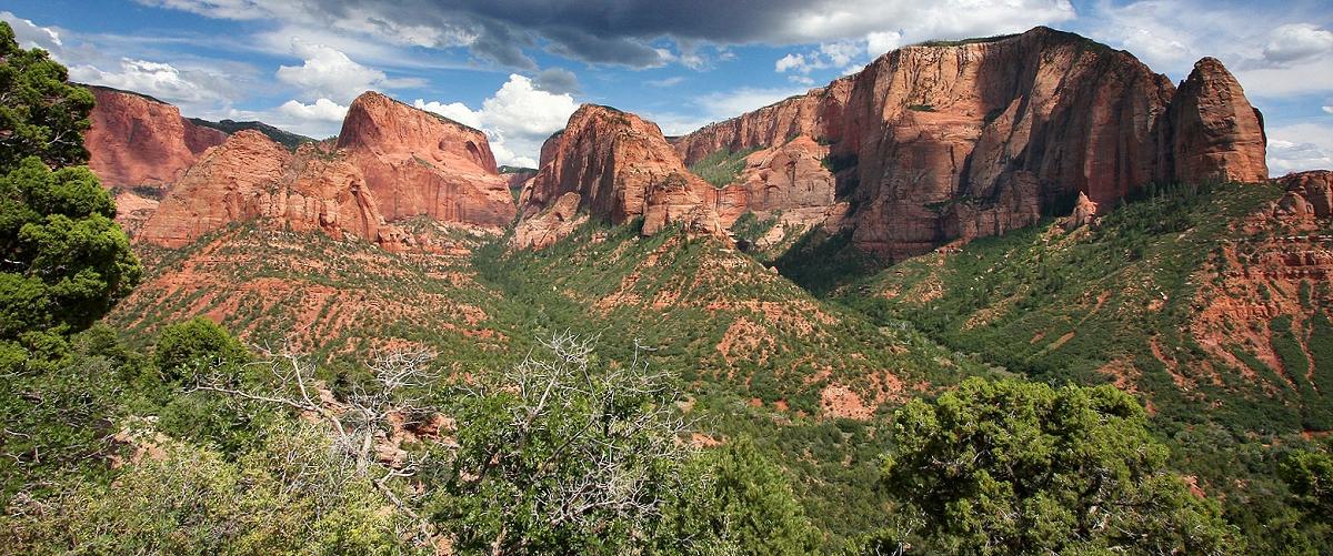 zion national park photo